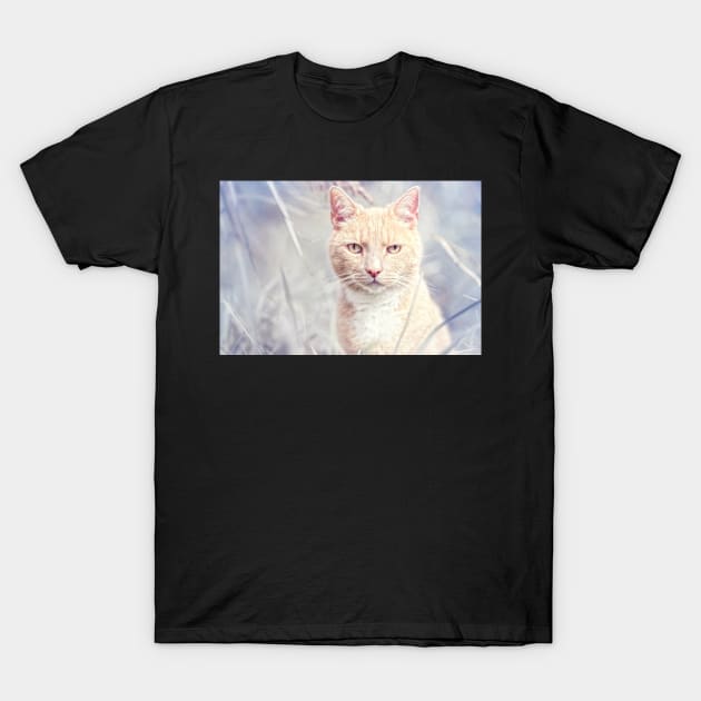 Red Tomcat T-Shirt by BobDaalder